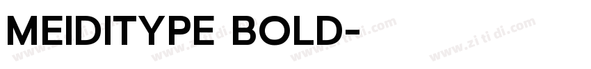 MEIDITYPE BOLD字体转换